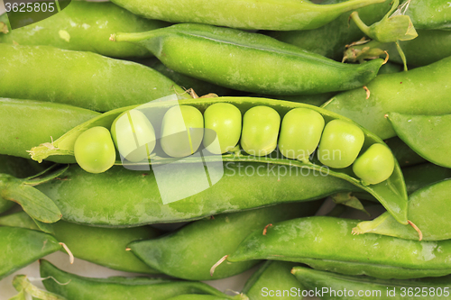 Image of green pea background