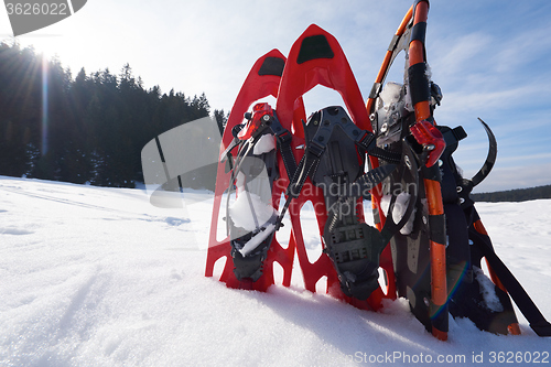 Image of winter snowshoes