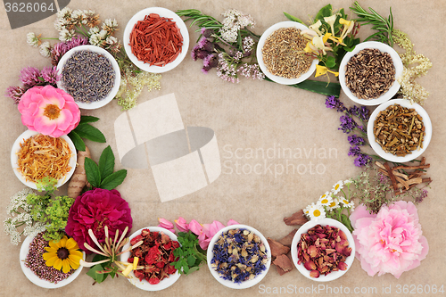 Image of Herbal Medicine Border