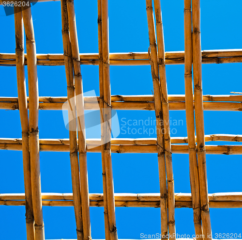 Image of morocco abstract bamboo roof in the  africa  sky