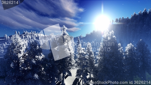 Image of Christmac forest in mountains