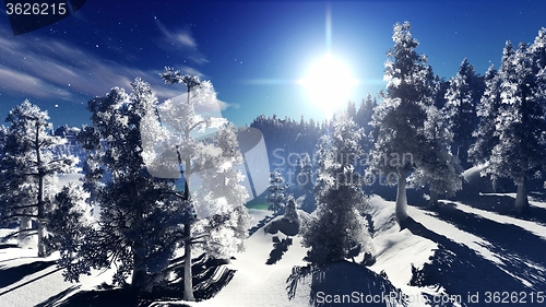 Image of Christmac forest in mountains