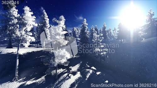 Image of Christmac forest in mountains