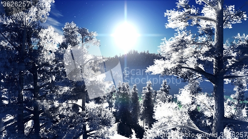 Image of Christmac forest in mountains