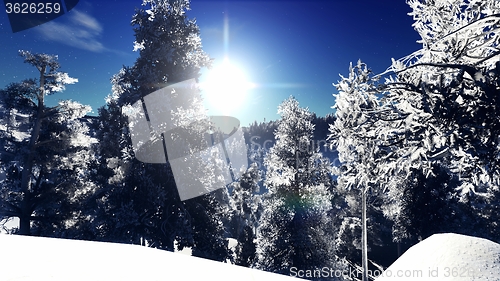 Image of Christmac forest in mountains