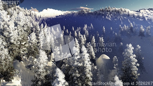 Image of Christmac forest in mountains