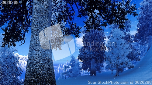 Image of Christmac forest in mountains