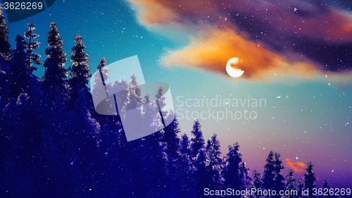 Image of Christmac forest in mountains