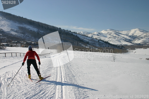 Image of Cross country skier