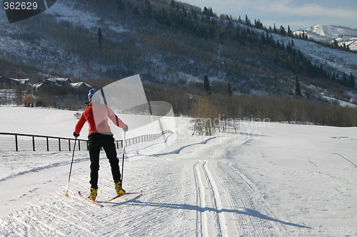 Image of Cross country skier