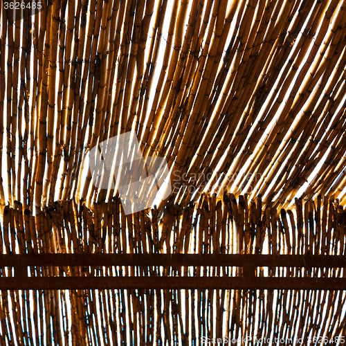 Image of morocco abstract bamboo roof in the  africa  sky