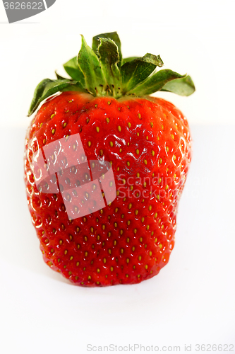 Image of Red strawberry photographed 