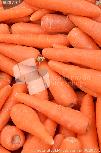 Image of Fresh carrots at the local market.