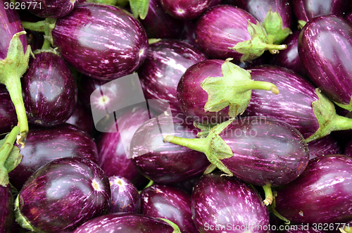 Image of A bunch of eggplants