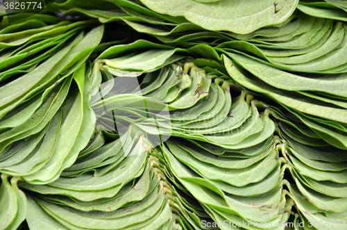 Image of Betel leaf on the market