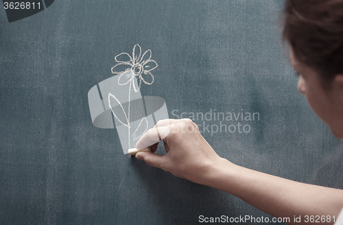 Image of Drawing flower