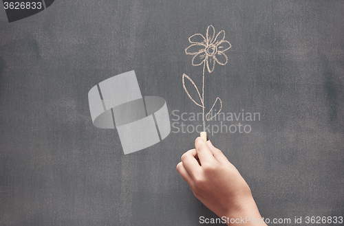 Image of Drawing flower