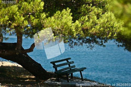 Image of Trees and bench at the coast line in   Peloponese in Greece