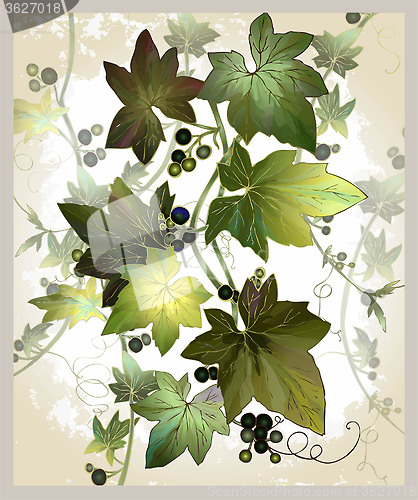 Image of Vintage postcard with ivy and berries. Illustration the curling 