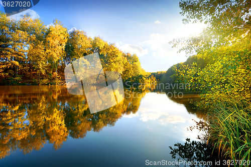 Image of Colorful autumn on river