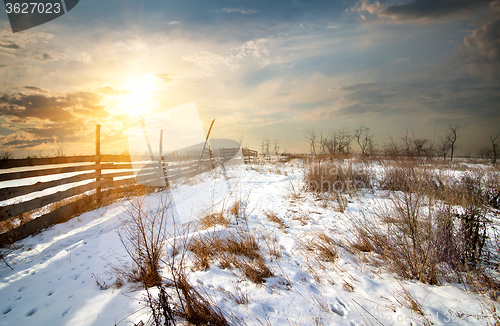 Image of Fence in winter field