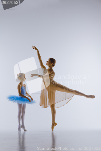 Image of The little ballerina posing with personal teacher in dance studio