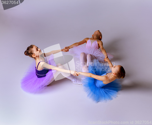 Image of Three little ballet girls sitting in tutu and posing together