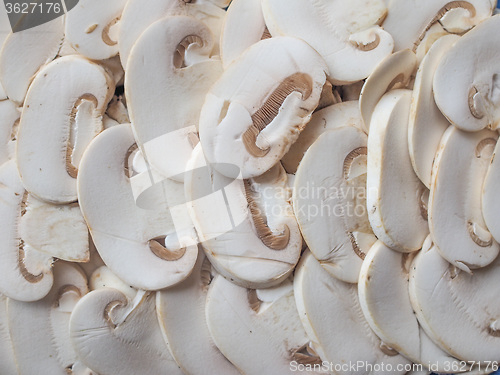 Image of Champignon mushrooms background