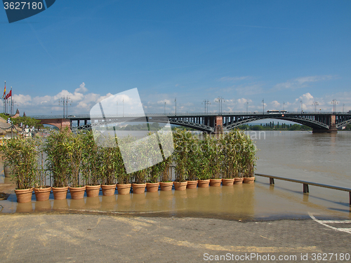 Image of River Rhine Flood in Mainz