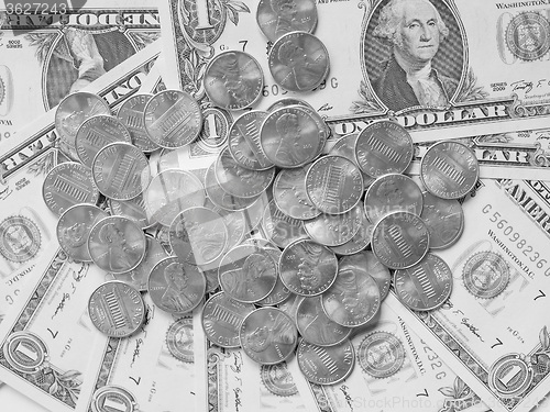 Image of Black and white Dollar coins and notes