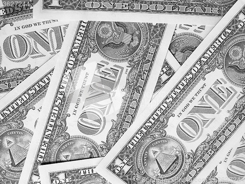 Image of Black and white Dollar notes 1 Dollar