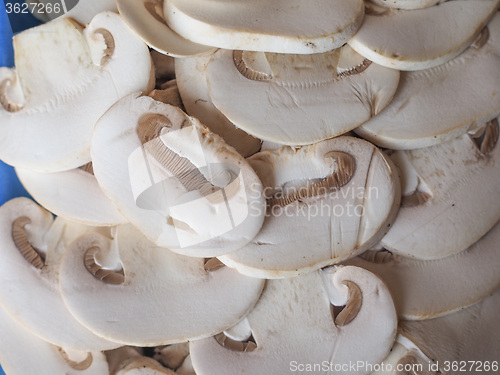 Image of Champignon mushrooms background