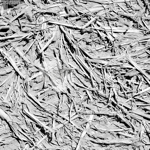 Image of cracked sand in morocco africa desert  hay