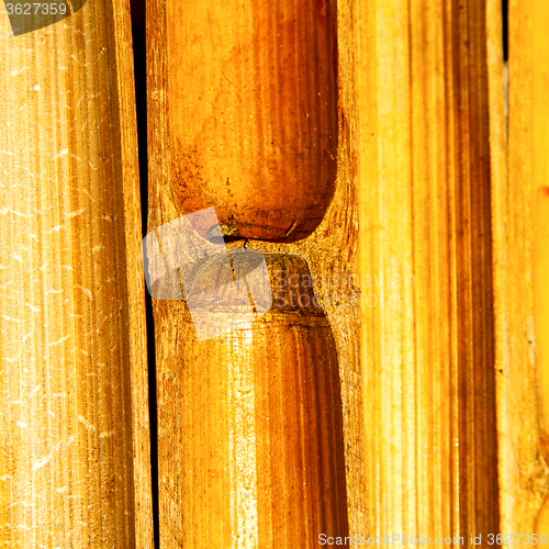 Image of thailand abstract   bamboo in the temple kho phangan bay 