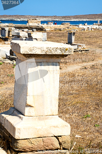 Image of bush   in delos greece the   ruin site