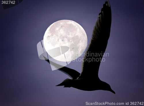 Image of moonlight