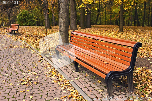 Image of Bench in park in falling season