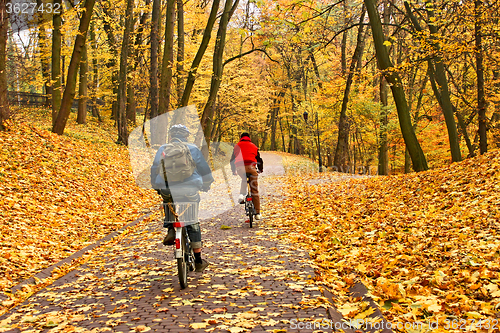 Image of Bicyclists ride in park in falling season