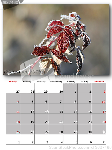 Image of nature calendar december