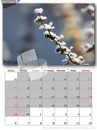 Image of nature calendar february