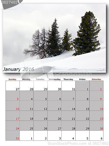 Image of nature calendar january