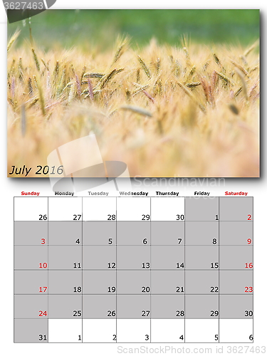 Image of nature calendar july