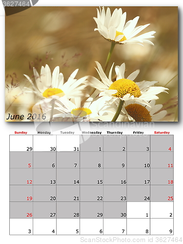 Image of nature calendar june