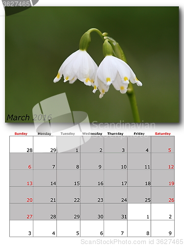 Image of nature calendar march