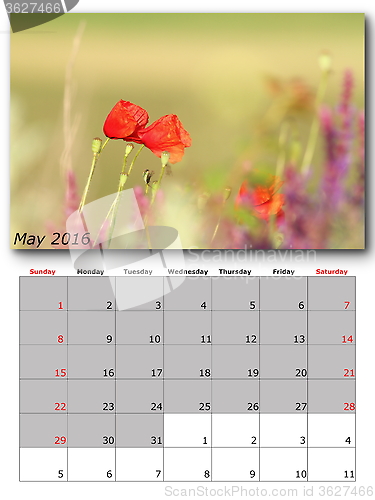 Image of nature calendar may