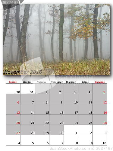 Image of nature calendar november