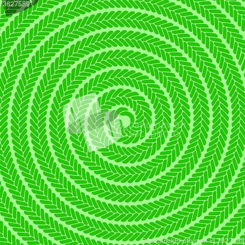 Image of Abstract Green Spiral Pattern