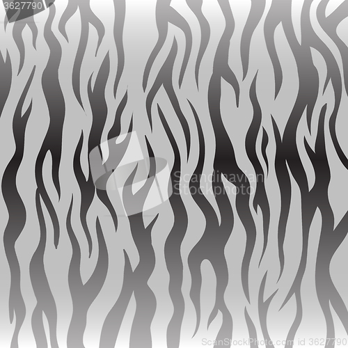 Image of Zebra Pattern. Animal Skin