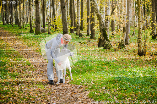 Image of Woman with dog walking in the birch alley, sunny autumn day