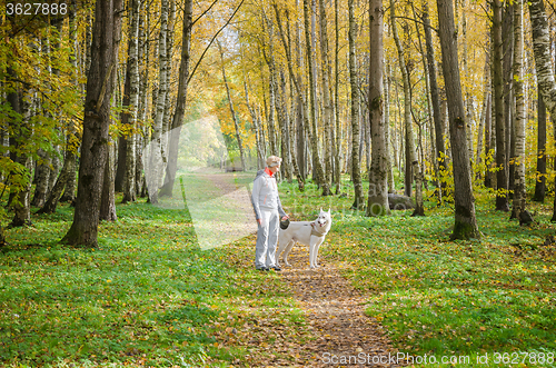 Image of Woman with dog walking in the birch alley, sunny autumn day